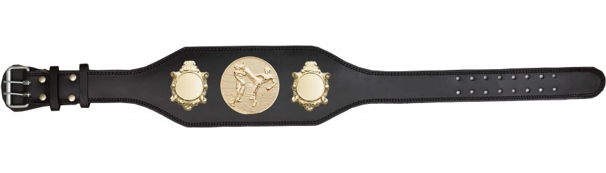 KICKBOXING CHAMPIONSHIP TITLE BELT-BUD003/G/KBOG -IN 4 COLOURS